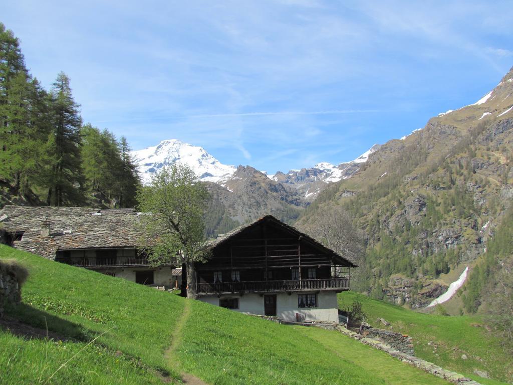 Hotel Lysjoch Gressoney-la-Trinité Exteriér fotografie